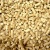 Wood pellets of quality A1 pellets