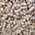 White pellets (6 mm), wholesale and retail