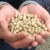 Wood pellets