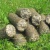 We sell biomass briquettes