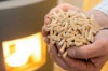 Swedes want to produce pellets in Vinnytsia region